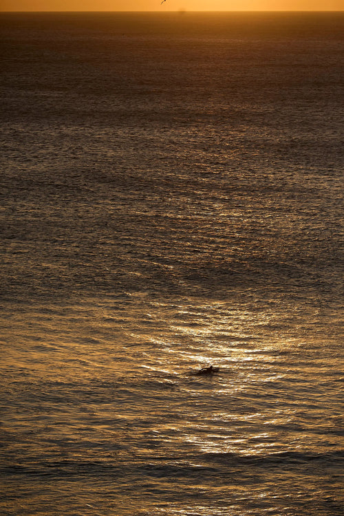 ALONE IN GOLD