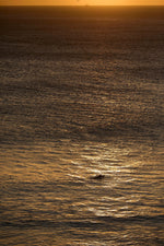 ALONE IN GOLD
