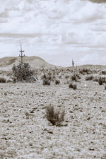 DESERT PULSE
