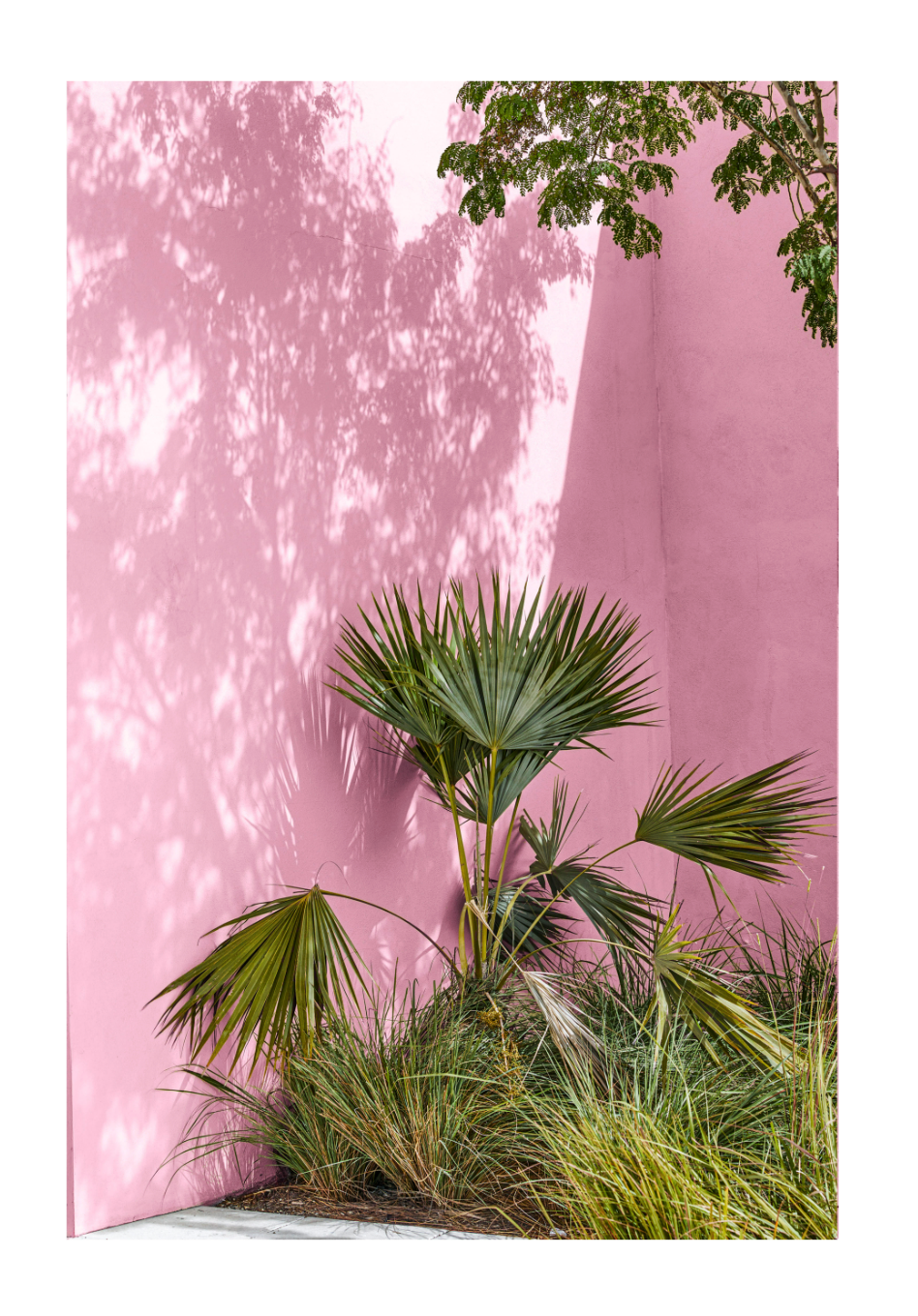Pink Miami Beach I, 2018