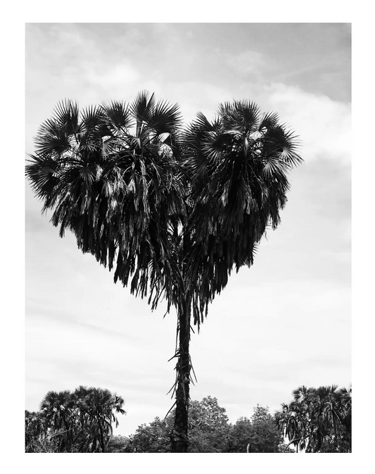 Kenya Love — Kenya, 2015