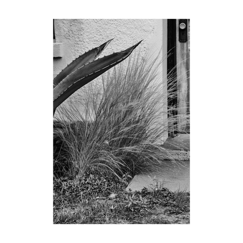 ARID ELEGANCE