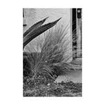 ARID ELEGANCE