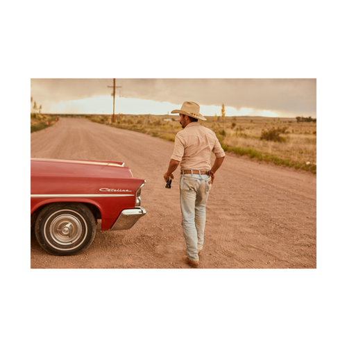 ROADSIDE AMERICANA