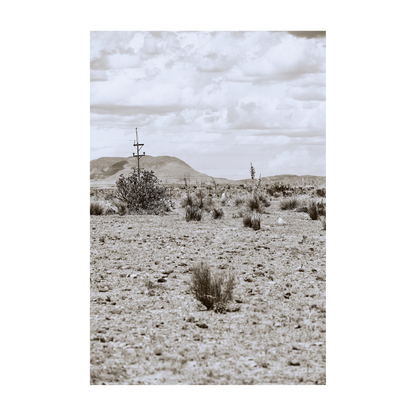 DESERT PULSE