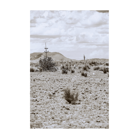DESERT PULSE