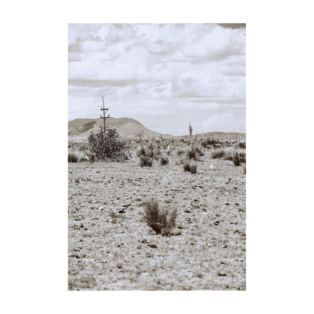 DESERT PULSE