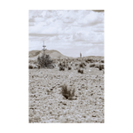 DESERT PULSE