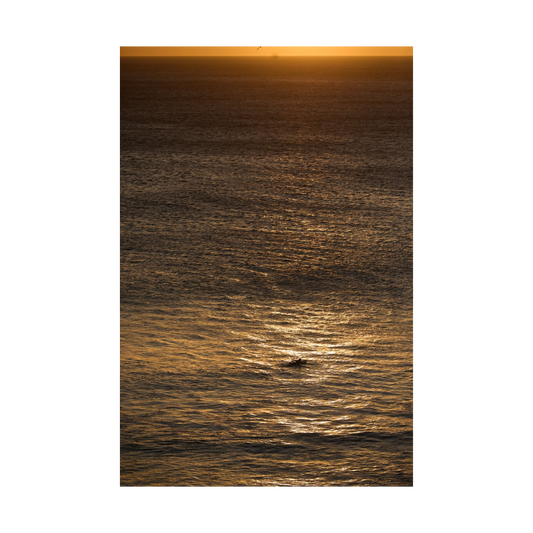 ALONE IN GOLD