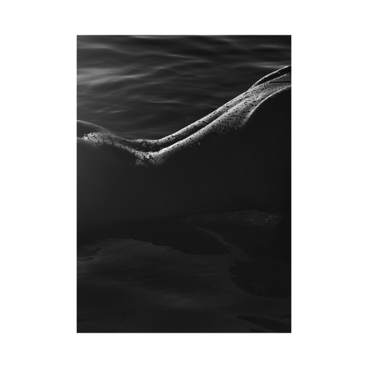 WAVES