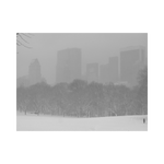 CENTRAL PARK LOVE
