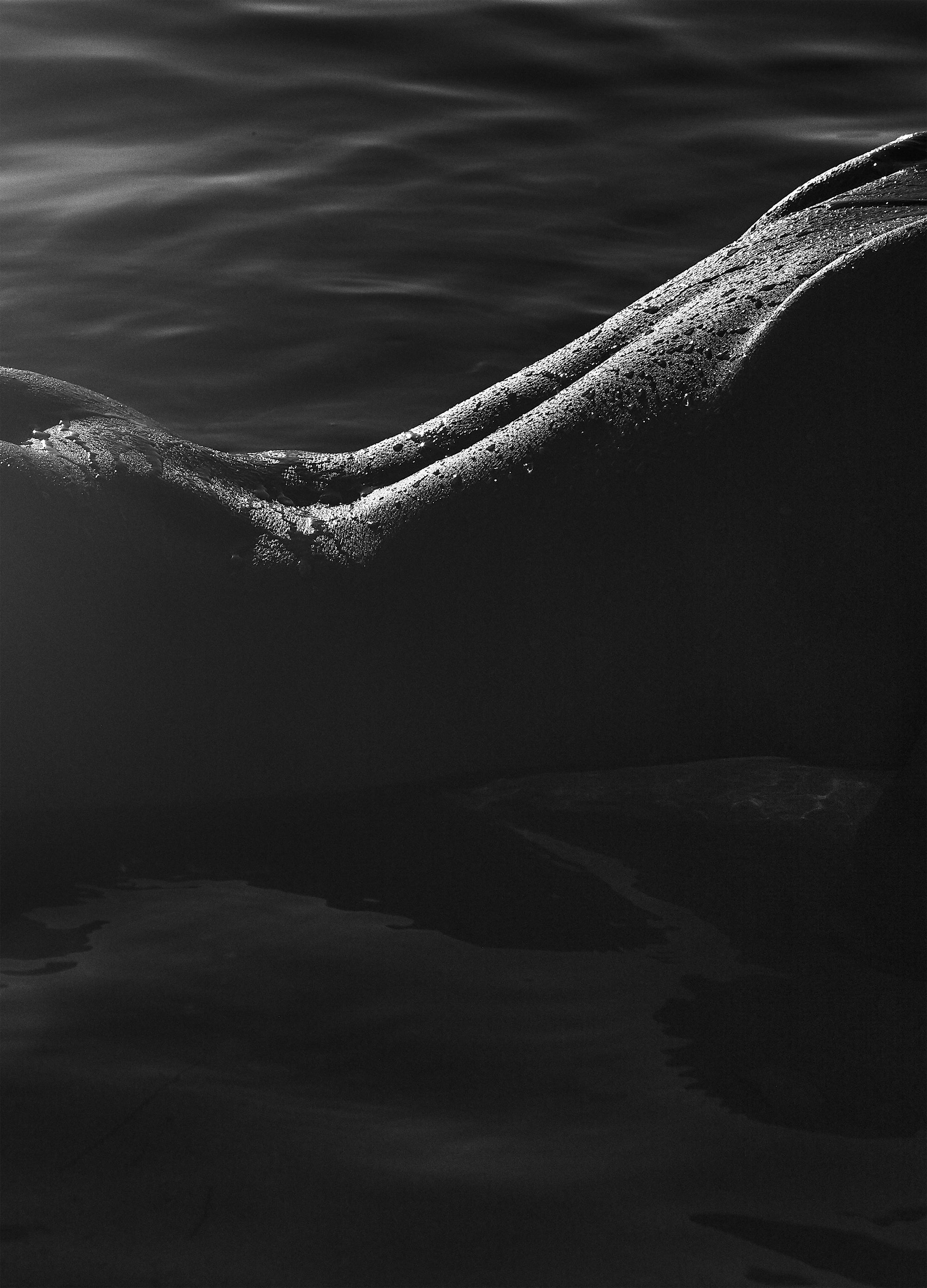 WAVES