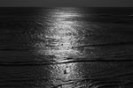 SILVER DUSK